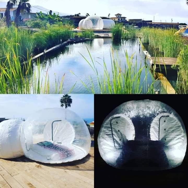 בית הארחה Chío 	Eco Camping Nueva Vida מראה חיצוני תמונה
