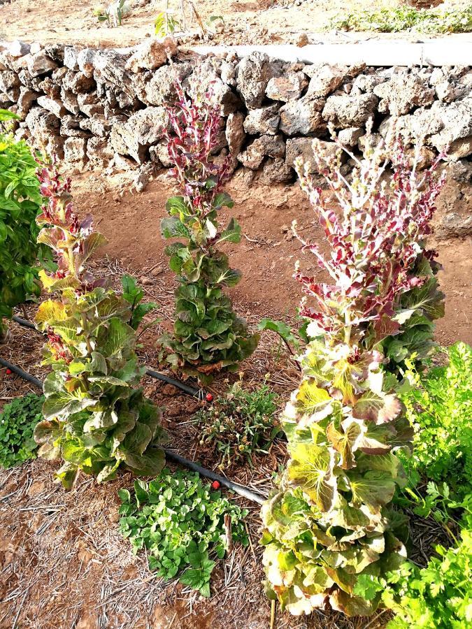 בית הארחה Chío 	Eco Camping Nueva Vida מראה חיצוני תמונה
