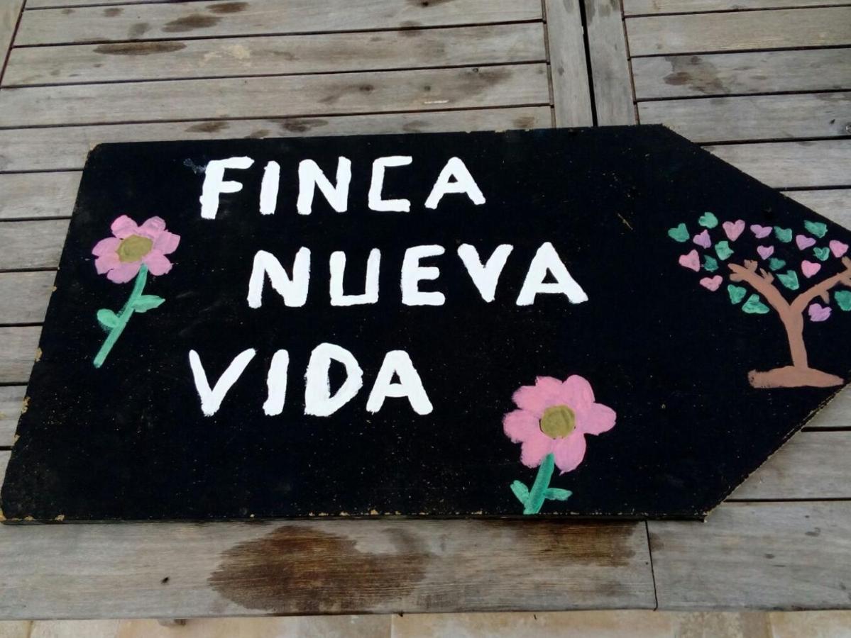 בית הארחה Chío 	Eco Camping Nueva Vida מראה חיצוני תמונה