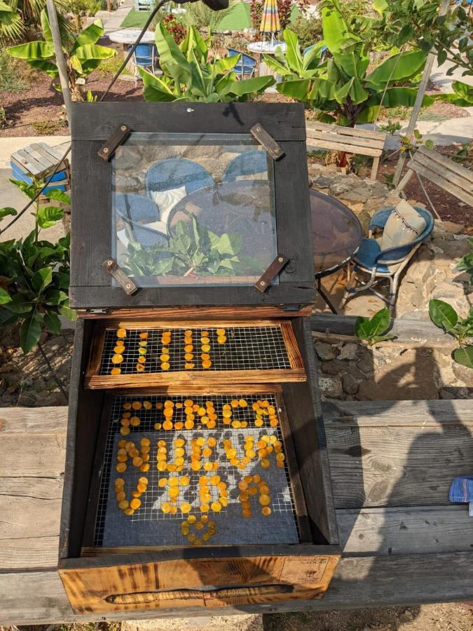בית הארחה Chío 	Eco Camping Nueva Vida מראה חיצוני תמונה